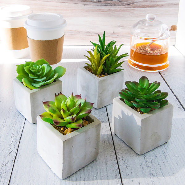 Wrought Studio 4'' Faux Plant in Cement Pot Wayfair